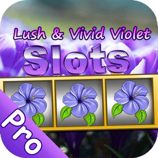 Lush & Vivid Violet Pro ~ The Casino Winning Slotsmachine Secret Streak