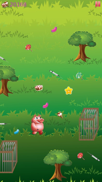 Hungry Panda and Animal Friends Run - How many Lollipop and Jellybeans can you find on the way? screenshot-3