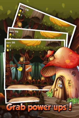 Paradise Birds - Endless Wings Flying Jungle Adventure Game - FREE screenshot 4