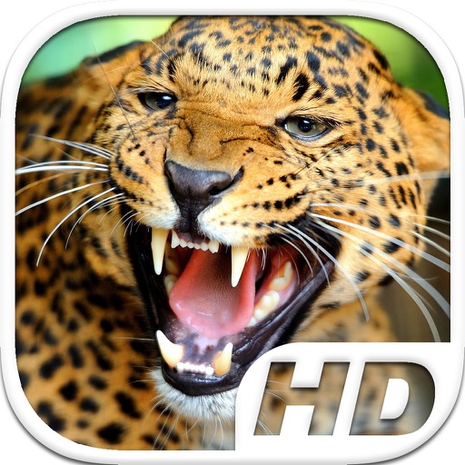 Leopard Simulator HD Animal Life icon