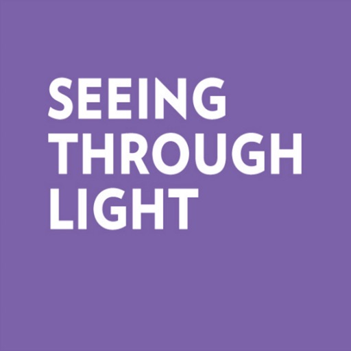 Seeing Through Light: Selections from the Guggenheim Abu Dhabi Collection icon