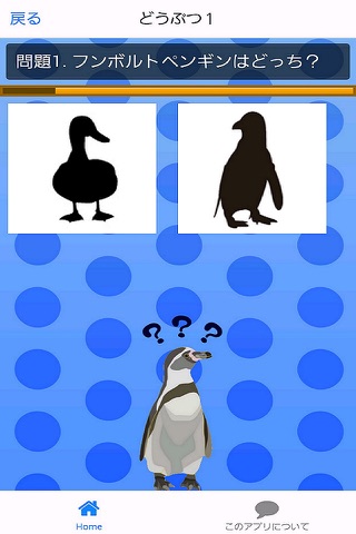 ペンギンとかげえ遊び！子供用無料知育成長ゲームアプリ screenshot 2