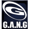 G.A.N.G PHOENIX