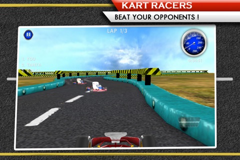 Kart Racers (Ads Free) screenshot 4