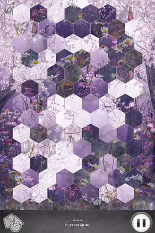 Hidden Scenes - Blooming Gardens screenshot 3
