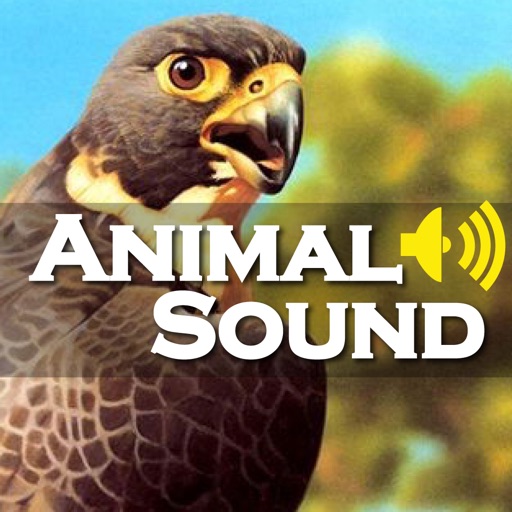 Animal Sound Effect Game icon