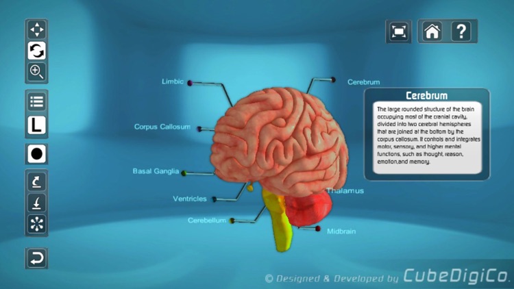 HumanBrainInteractive screenshot-4