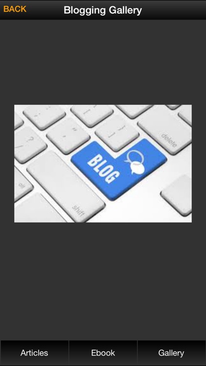 Blogging Basics for Beginners screenshot-4