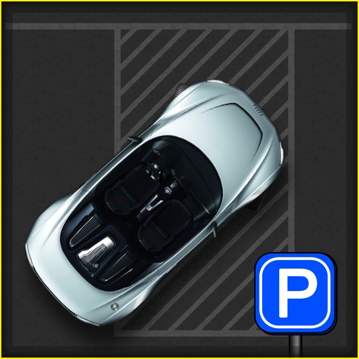 City Parking Game Pro icon