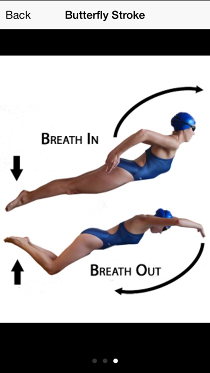 Swim Stroke - Learn How to Swim Like a Pro!