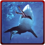 Angry Shark Attack Simulator – Killer predator simulation game