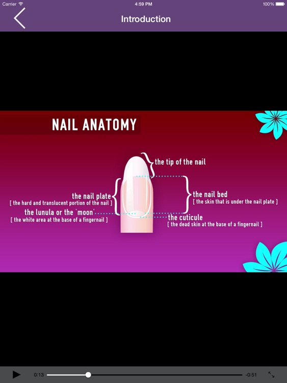 Nail Art Tutorial - Step by Step Manicure Guide for iPad screenshot-3