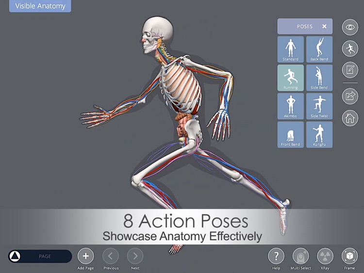 Visible Anatomy