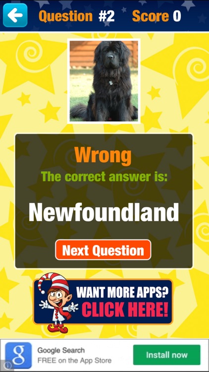 Dog Quiz. screenshot-3