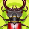 Kids Game - Bugs Collector