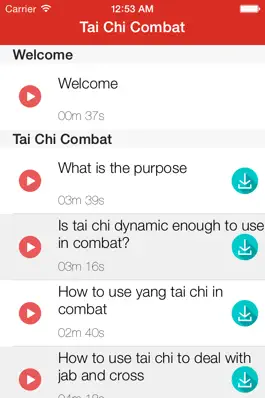 Game screenshot Tai Chi Combat hack