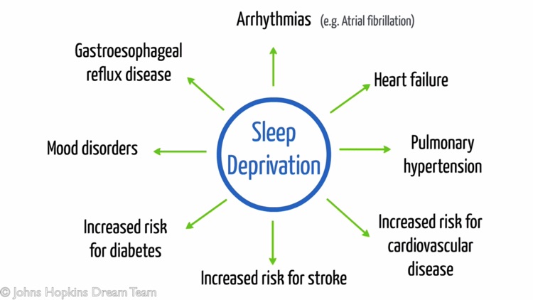 MySleep101 Lite - an animated educational module on basic sleep concepts