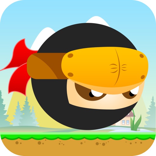 Super Ninja Up iOS App