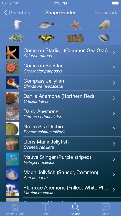 Pocket Guide UK Seashore