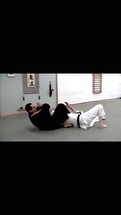 BJJ Crash Course