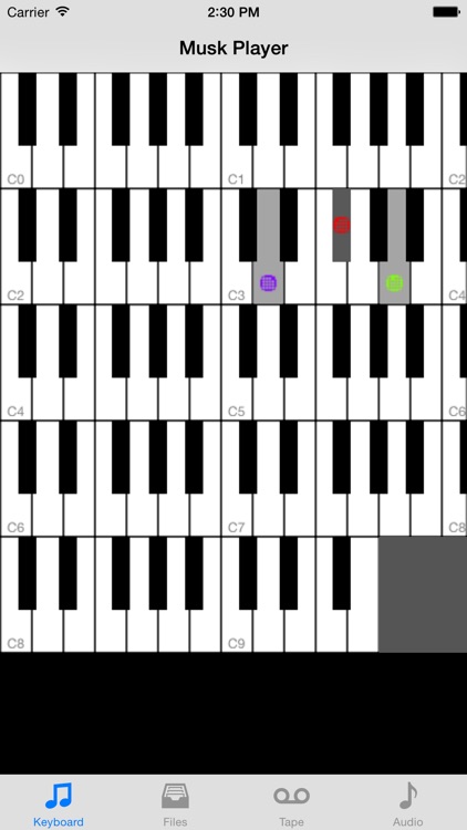 Musk MIDI Player screenshot-0