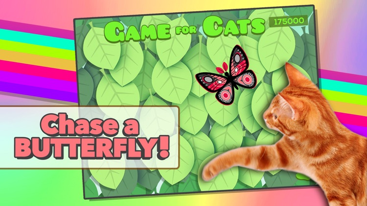 Game for Cats