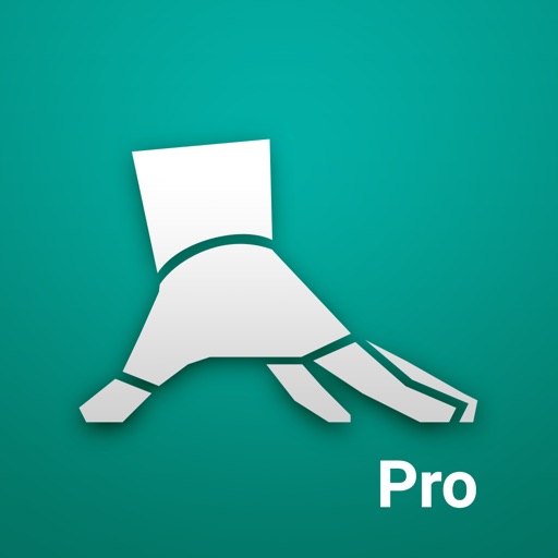 Bodyweight Fitness Pro icon