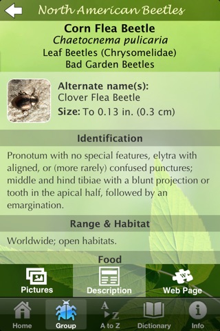 North American Beetles screenshot 3