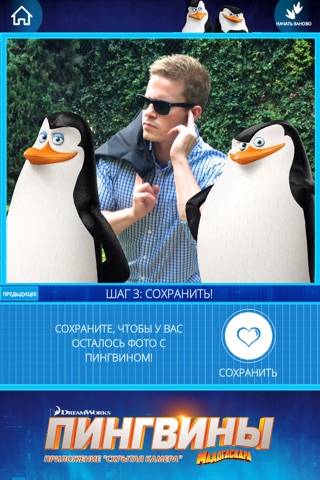 Penguins Surveillance App screenshot 4