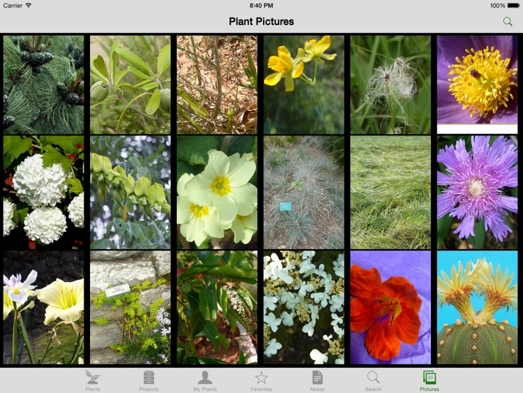 Landscaper's Companion for iPad