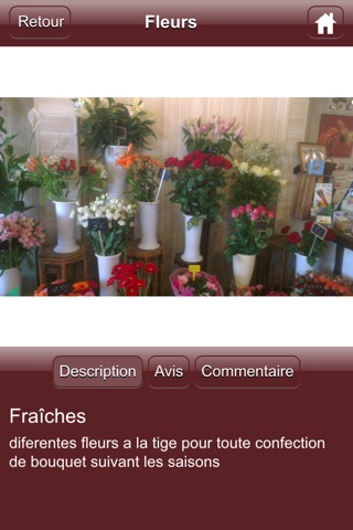 Ancolie Fleurs screenshot 3