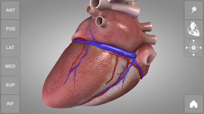 心臓解剖 Heart 3D Atlas of Anatomyのおすすめ画像2