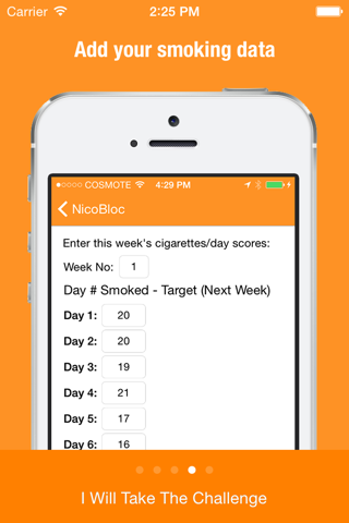The NicoBloc Challenge - Quit Smoking screenshot 4