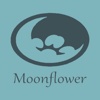 Moonflower