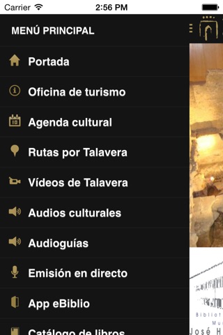 Talavera Cultural screenshot 2