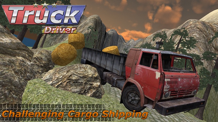 3D Truck Driver : Off Road