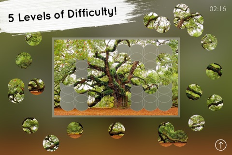 Venn Trees: Overlapping Jigsaw Puzzles screenshot 3