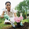 Home Gardening and Yard Landscaping 101: DIY Tips with Video Guide