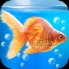 Goldfish Aquarium 3D PRO