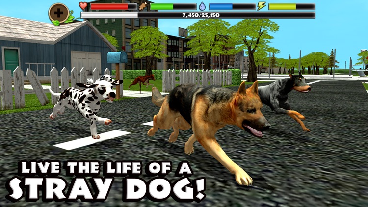 Stray Dog Simulator screenshot-0