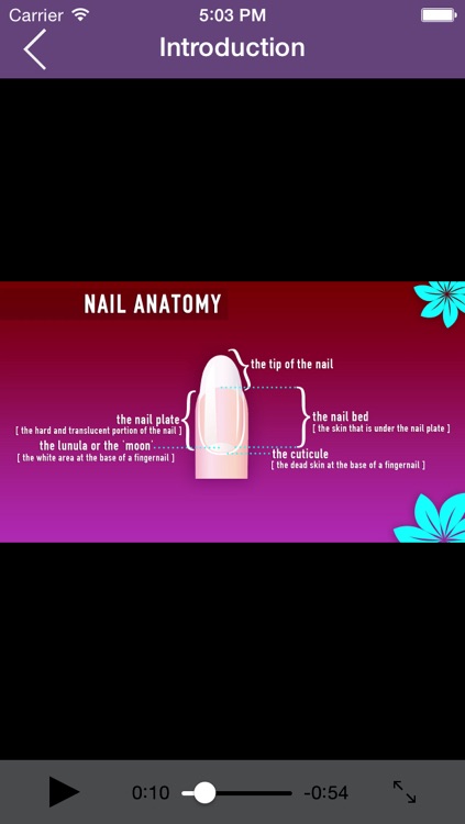 Nail Art Tutorial - Step by Step Manicure Guide screenshot-3