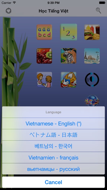 Learn Vietnamese Free