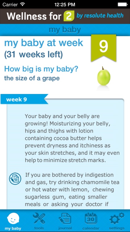 Wellness for 2: Pregnancy Wellness Toolkit for Mom & Baby