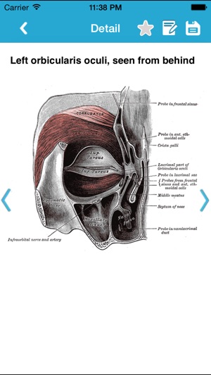 Gray's Anatomy Pro 2014(圖4)-速報App