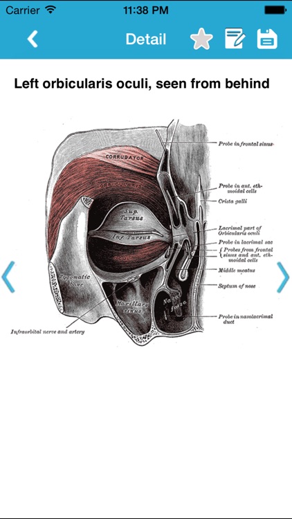 Gray's Anatomy Pro 2014 screenshot-3