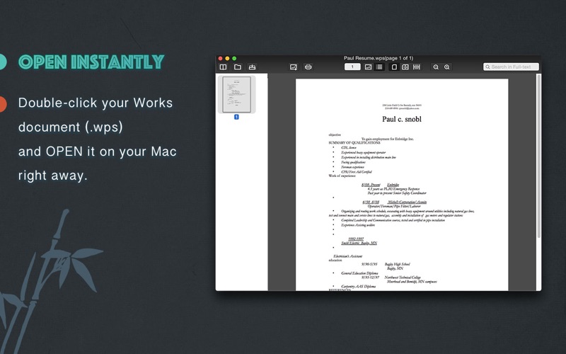 Works WPS Opener – View &amp; Convert Microsoft Works Documents thumbnail 1