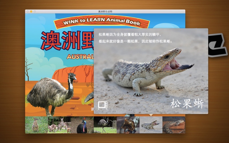 澳洲野生动物 thumbnail 3