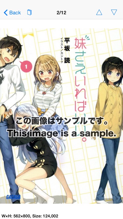 TSRBooks - Japanese Book Surfing Ranobe Standard Edition screenshot-4