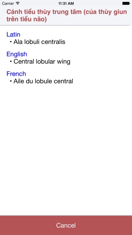 Anatomy Dictionary