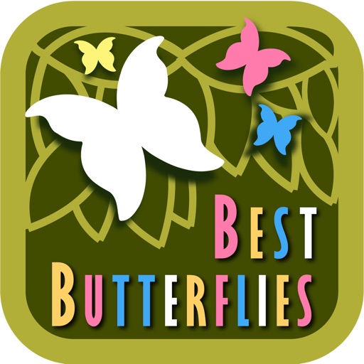The Best Butterflies+ icon